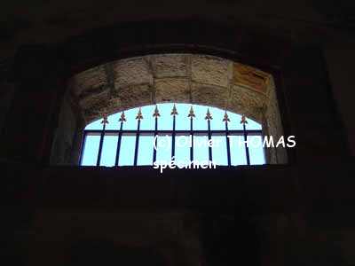 DSC01631