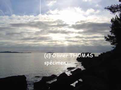 DSC02320